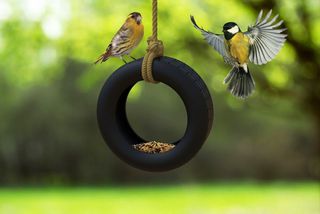 Winkee - Feeding Board - Tyre Bird Feeder-thumb-2