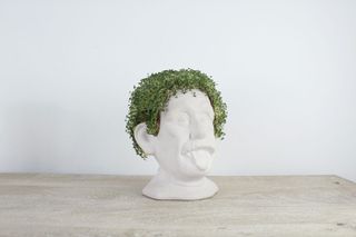 Winkee - Genius Chia Planter - Compact / Gadgets-thumb-2