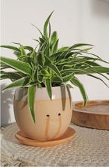 Winkee - Crying Plant Pot - Planter / Gadgets-thumb-2