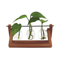 Winkee - Hydro Vases Blossom - Vase / Gadgets