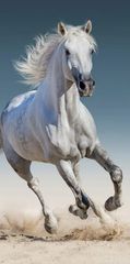 Towel - 70 x 140 cm - Horse (1100339) / Baby and Children