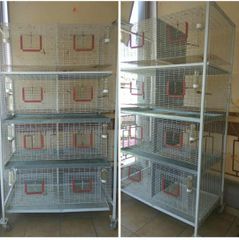 Κλούβες πτηνών, διάφορα κλουβιά