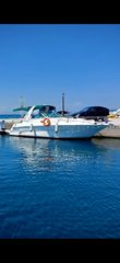 Sea Ray 1998 Sundancer 310