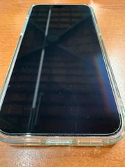 Apple iPhone 15 Pro Max (Άσπρο/256 GB)