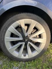 Ζαντες  Tesla 19