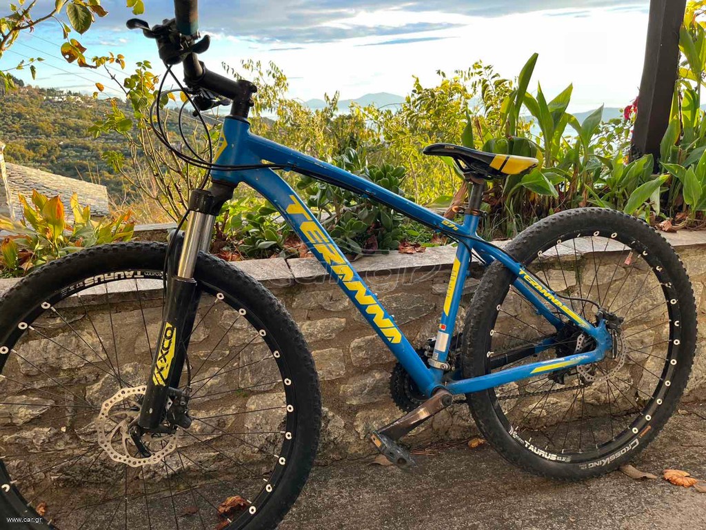 All - Mountain Triumph 2021
