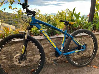 All - Mountain Triumph 2021