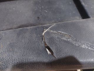 ΤΑΜΠΛΟ HONDA CRX '89-'91-thumb-2