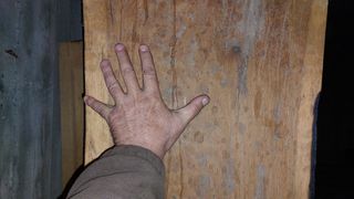 Κορμός δρυς-thumb-9