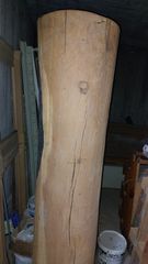 Κορμός δρυς-thumb-17