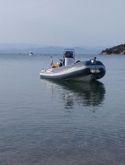 Stingher 2000