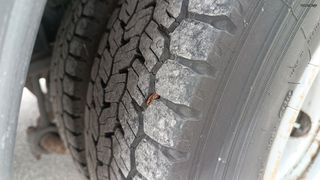 Κόφα MAN 2009 TGL 8.180, ADR, φούσκα-thumb-15