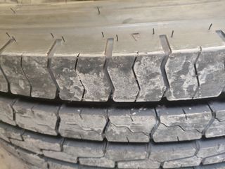 Dunlop-thumb-4