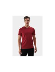 Men's cotton Tshirt 4F 4FWSS25TTSHM309661S