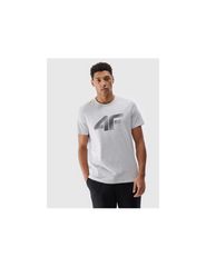 Men's Tshirt 4F 4FWMM00TTSHM225727M