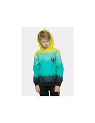 Boy's cotton hoodie 4F 4FJWSS25TSWSM233990A