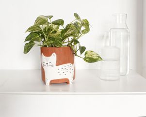 Winkee - Flower pot bowl - Flower pot cat - 13 cm / Gadgets