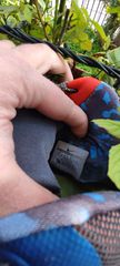 Nike-thumb-1
