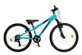 All - Mountain Orient 2026 HUNTER MTB ALLOY 24''