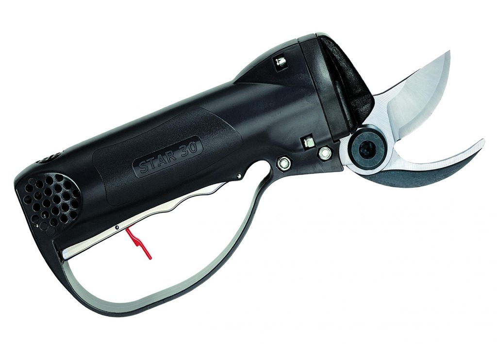 CAMPAGNOLA STAR 30 V