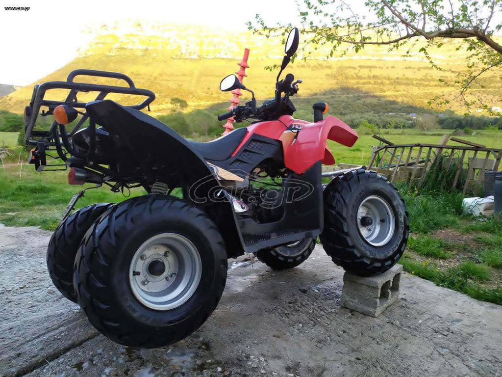 Tgb 2010 Hornet