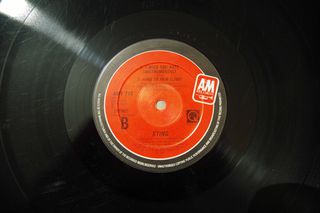 STING-ALL THIS TIME-thumb-5