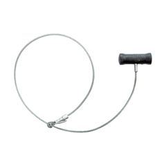 ΡΙΝΟΣΦΙΓΧΤΗΡΑΣ ΧΟΙΡΩΝ