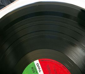 MC5-HIGH TIME-thumb-8