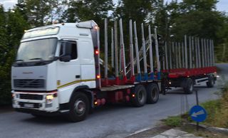 Γερανοί - Φορτηγά Με Γερανό Volvo 2004 FH 460 Ξυλάδικο + KOGEL Ρυμούλκα