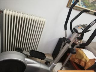 όργανο γυμναστικης