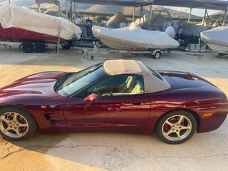 Chevrolet Corvette 2003 50th Anniversary Special Edition-thumb-2