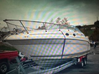 Sea Ray 1999 260DA