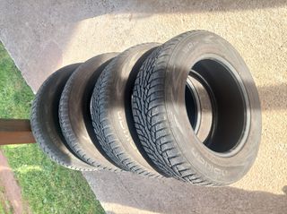 Nokian WRD4 195-65-15