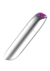 Bullet Silver USB