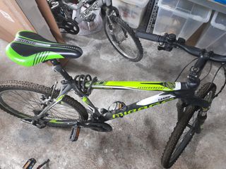 All - Mountain Mirage 2024