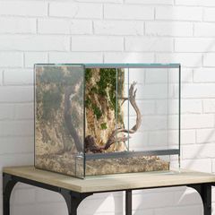 Terrarium με αποθήκευση Διαφανές 30 x 30 x 30 cm Γυαλί 42020387
