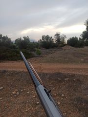 Beretta 391 Teknys stonecoat optima-thumb-9