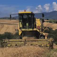Combine Harvester New Holland 1969 M140 CLAYSON