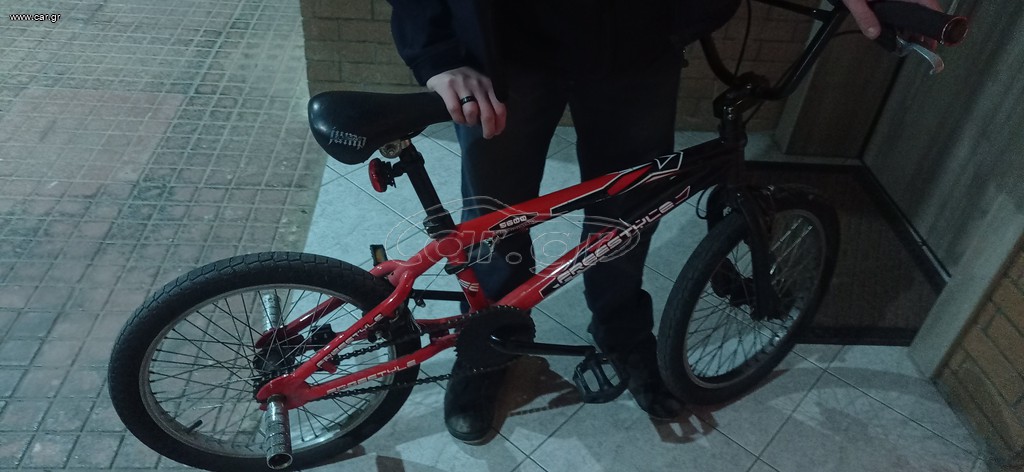 BMX Accell Group 2024