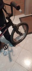 BMX Accell Group 2024-thumb-1