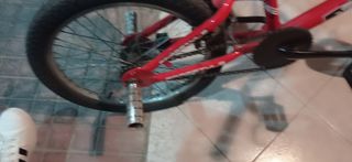 BMX Accell Group 2024-thumb-2