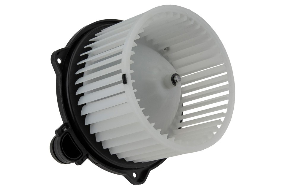 NTY INTERIOR BLOWER