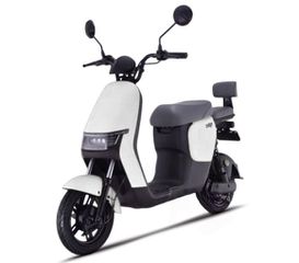Daytona 2026 SAIGE 50 25km/h-thumb-1