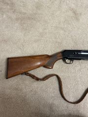 Browning gold 1