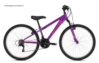 All - Mountain Clermont 2026 Tribal 24"-thumb-1
