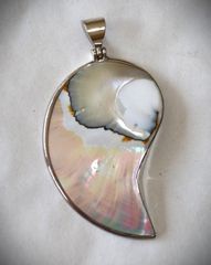Σπάνιο κοχύλι, mother of pearl μοναδικό μενταγιόν Ασήμι 925 Nature Ocean Pearl code SBTS035