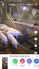 Μόνο σοβαρές πρωτασης