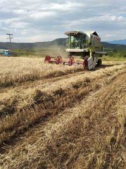 Αλωνιστική Μηχανή Claas 1993 98 maxi dominator