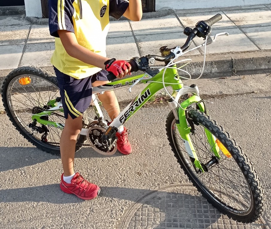 All - Mountain 2019