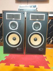 ηχεια 10" vintage AKAI SW-T50